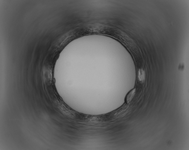 X0000091071155200708271210