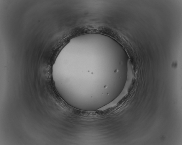 X0000091071156200708271210