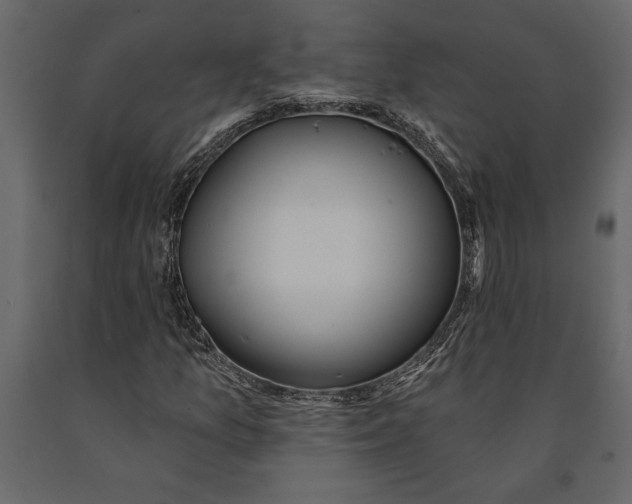 X0000091071157200708271210