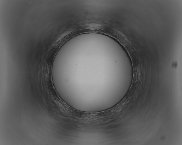 X0000091071158200708271210