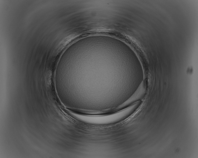 X0000091071161200708271210