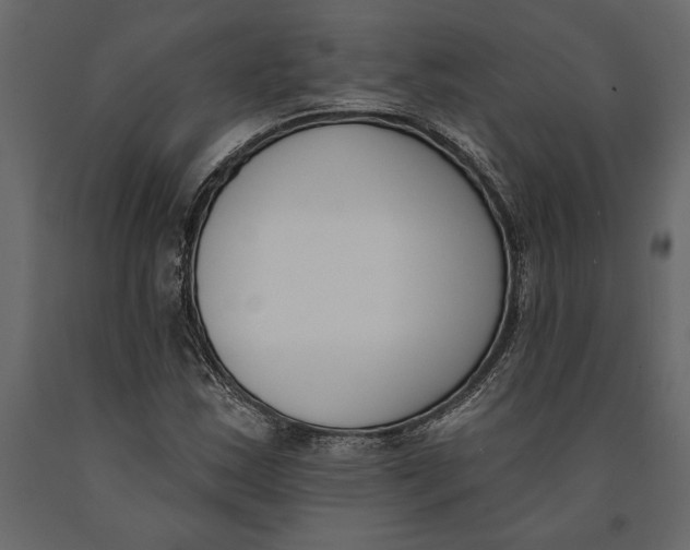 X0000091071163200708271210