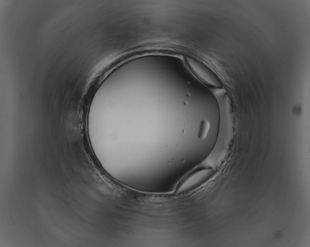 X0000091071164200708271210