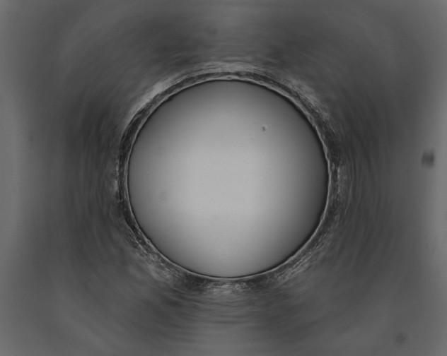 X0000091071165200708271210