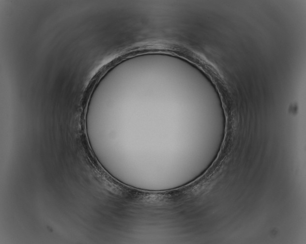 X0000091071166200708271210