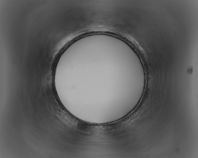 X0000091071167200708271210