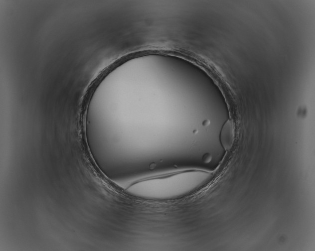 X0000091071168200708271210