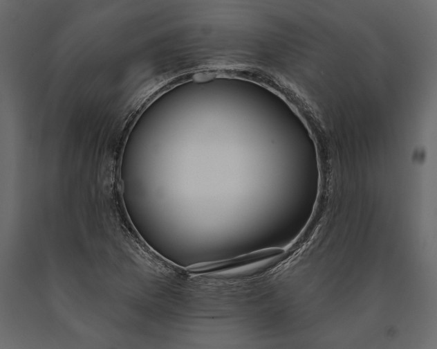 X0000091071169200708271210