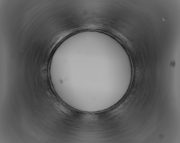 X0000091071170200708271210