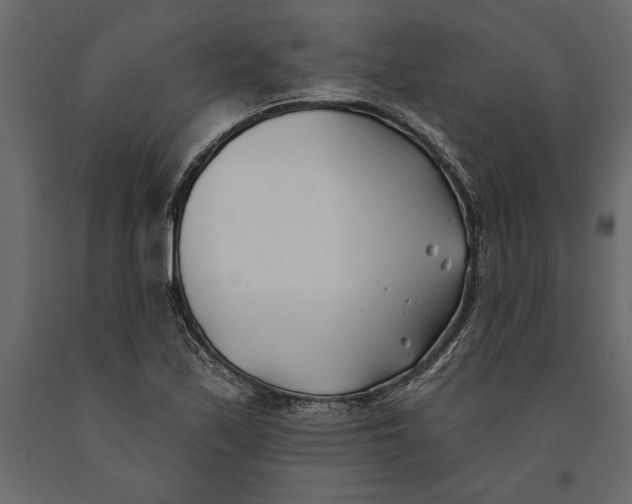 X0000091071171200708271210