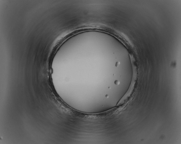 X0000091071172200708271210