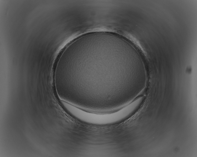 X0000091071173200708271210