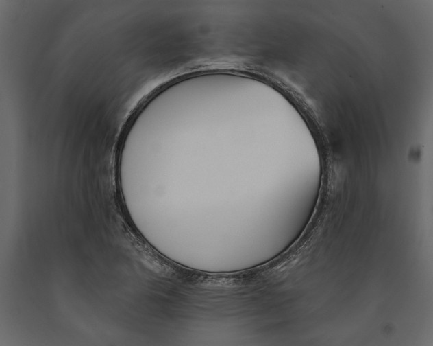 X0000091071174200708271210