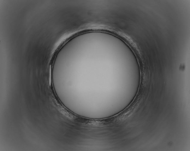 X0000091071175200708271210