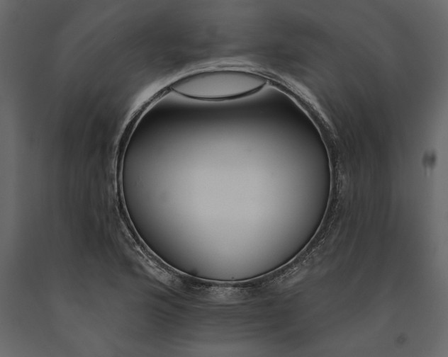 X0000091071176200708271210