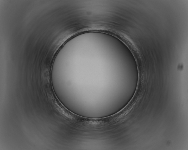 X0000091071177200708271209