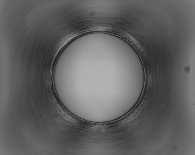 X0000091071178200708271209