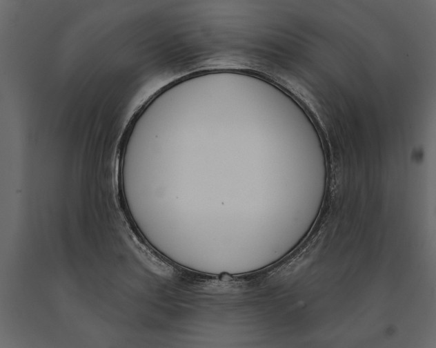 X0000091071179200708271209