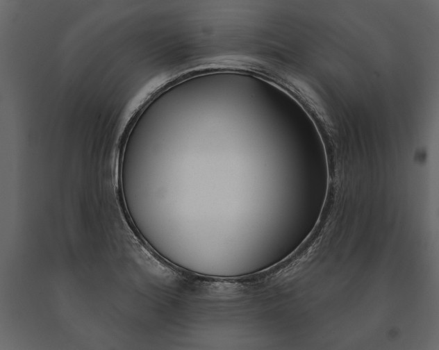 X0000091071180200708271209