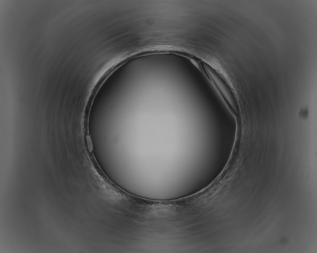 X0000091071181200708271209