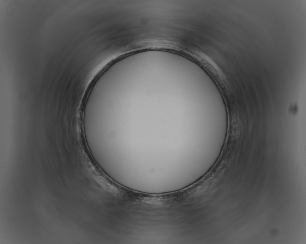 X0000091071182200708271209