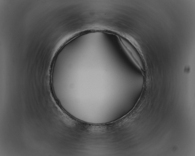 X0000091071183200708271209