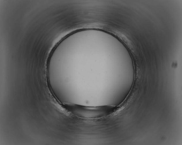 X0000091071184200708271209