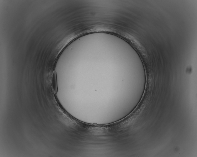 X0000091071185200708271209