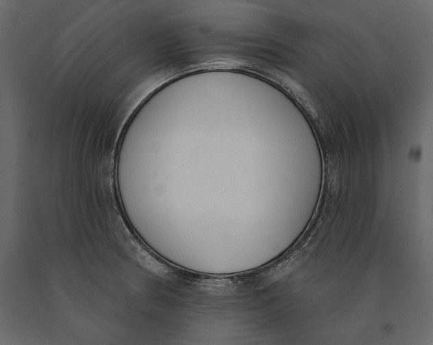 X0000091071186200708271209