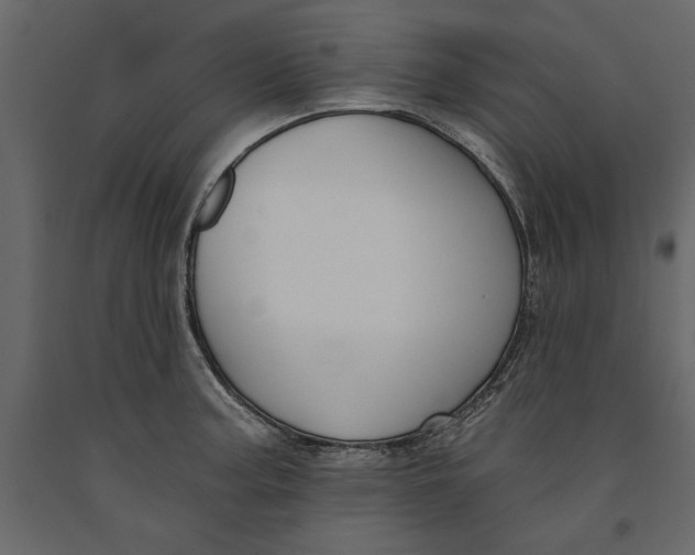 X0000091071187200708271209