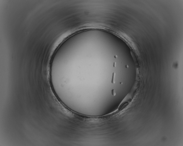 X0000091071188200708271209