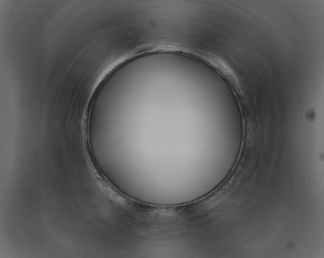 X0000091071190200708271209