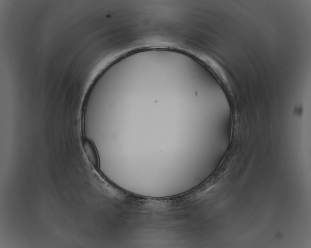 X0000091071191200708271209