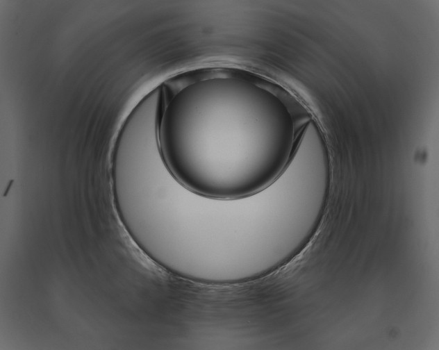 X0000091071192200708271209