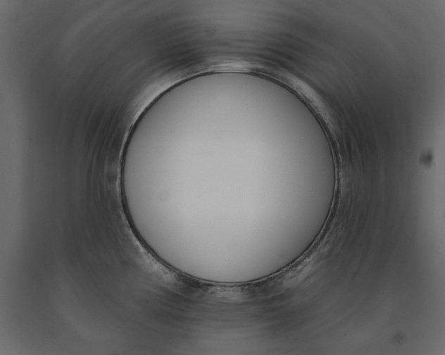 X0000091071194200708271209