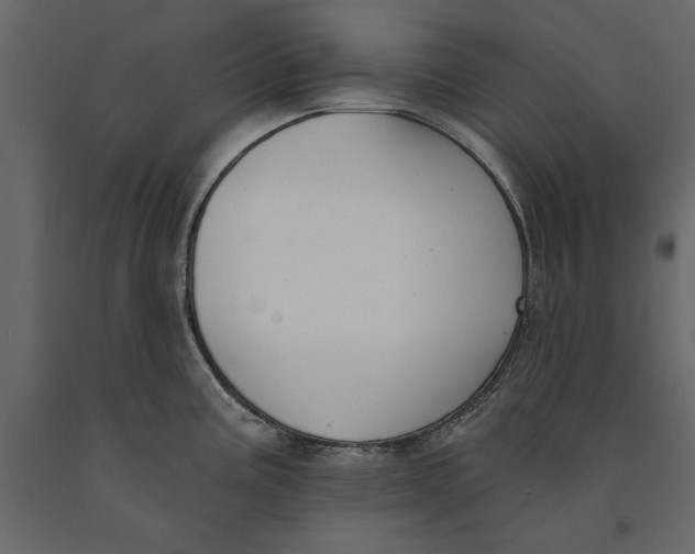 X0000091071195200708271209