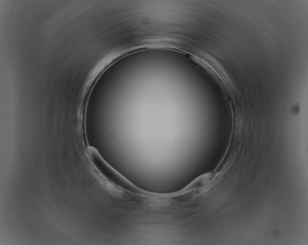 X0000091071196200708271209