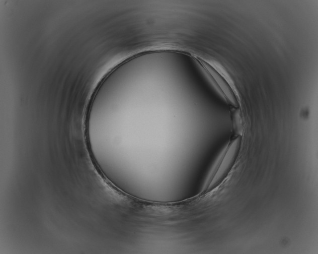 X0000091071197200708271209