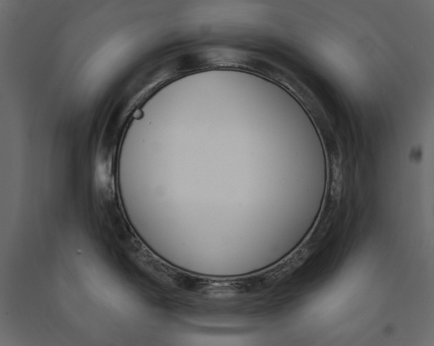 X0000091071198200708271209