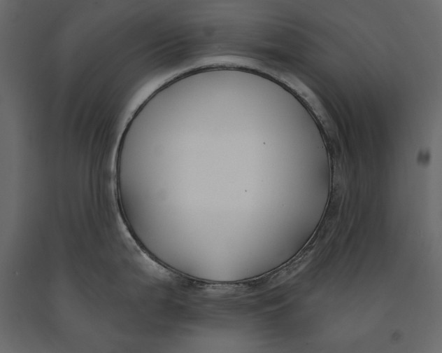 X0000091071199200708271209