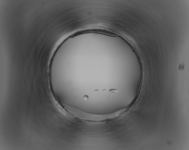 X0000091071200200708271209