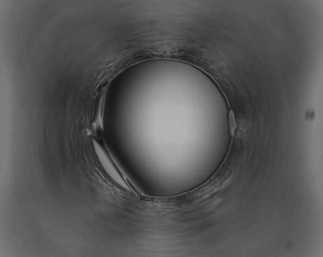 X0000091071202200708271209