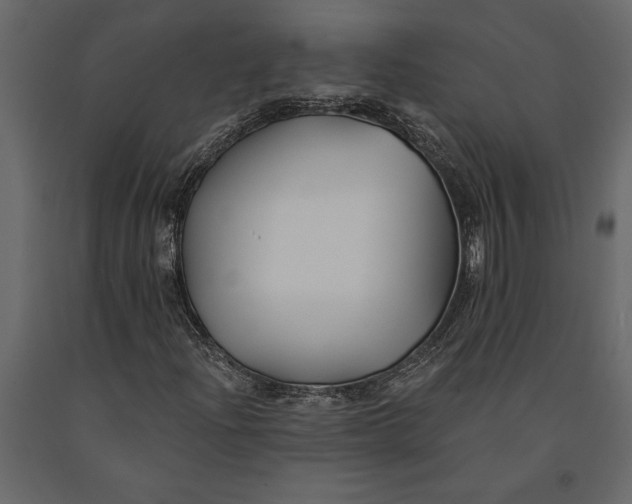 X0000091071204200708271209