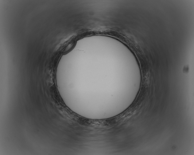 X0000091071205200708271209