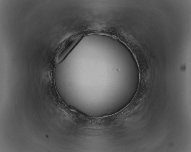 X0000091071206200708271209