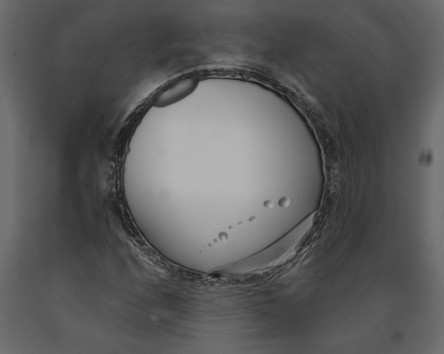 X0000091071208200708271209