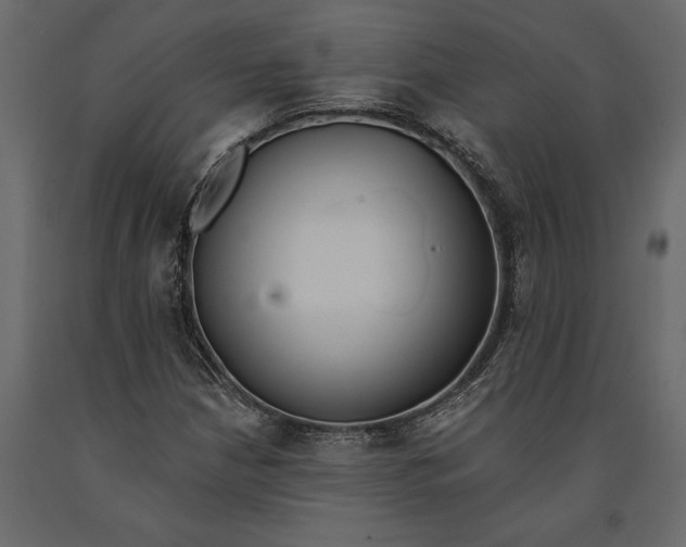 X0000091071210200708271209