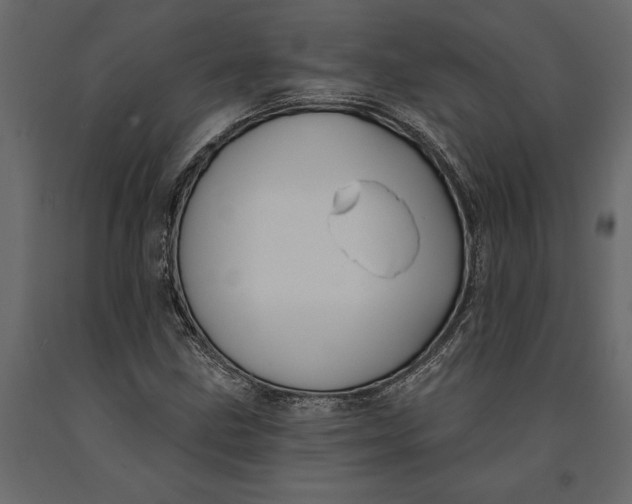 X0000091071211200708271209