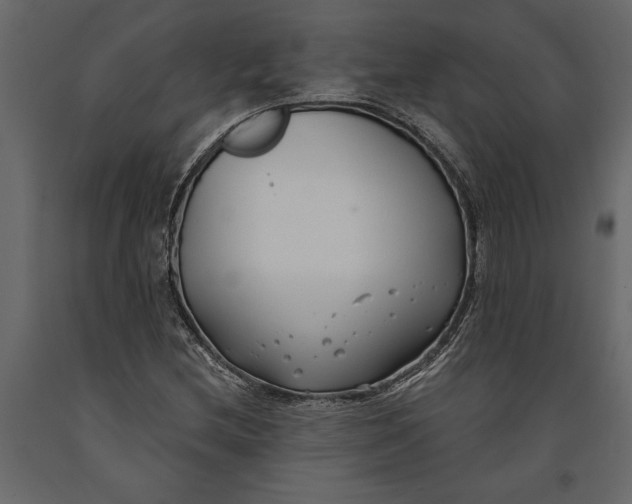 X0000091071212200708271209