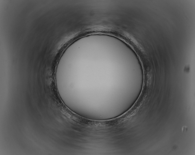 X0000091071213200708271209